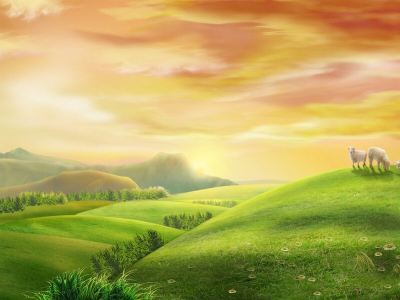 Sheep on a Hill — Green, Serene