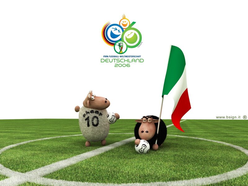 Sheep on a soccer field