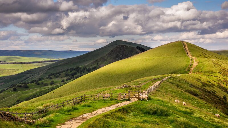 Sheep on Green Hills — Serene, Afternoon