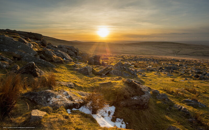 Sheep on Rocky Hillside