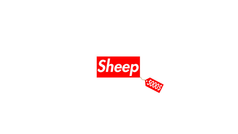 Sheep Price Tag