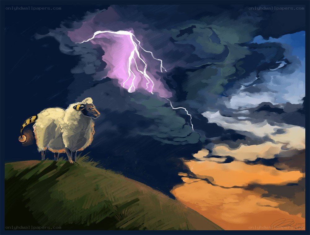 Sheep under a stormy sky