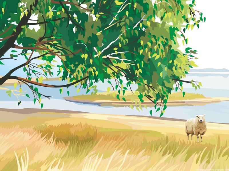 Sheep under a tree by the river