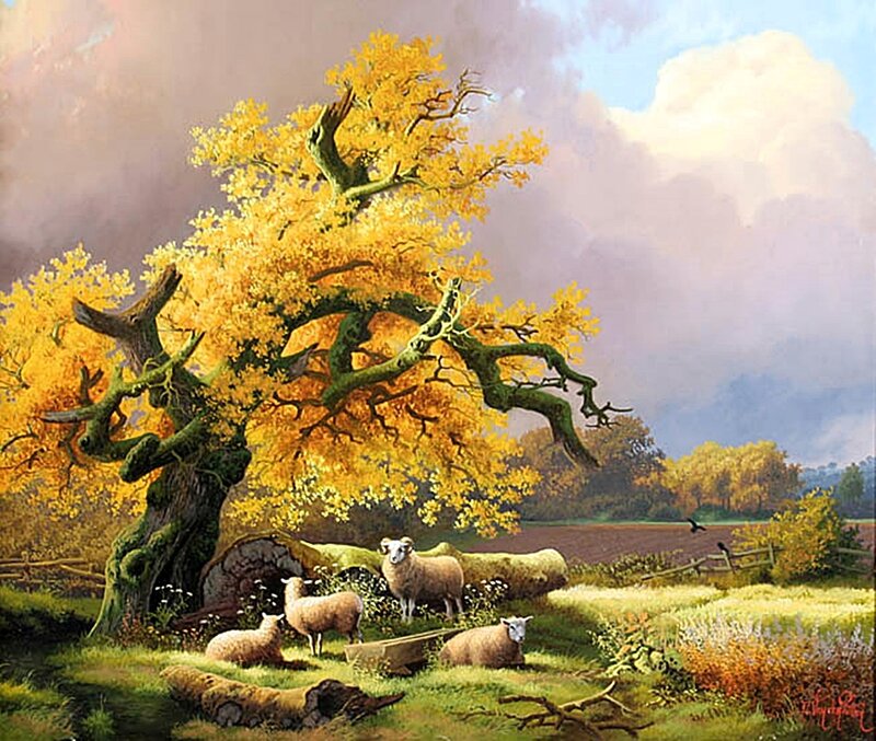 Sheep under a Tree