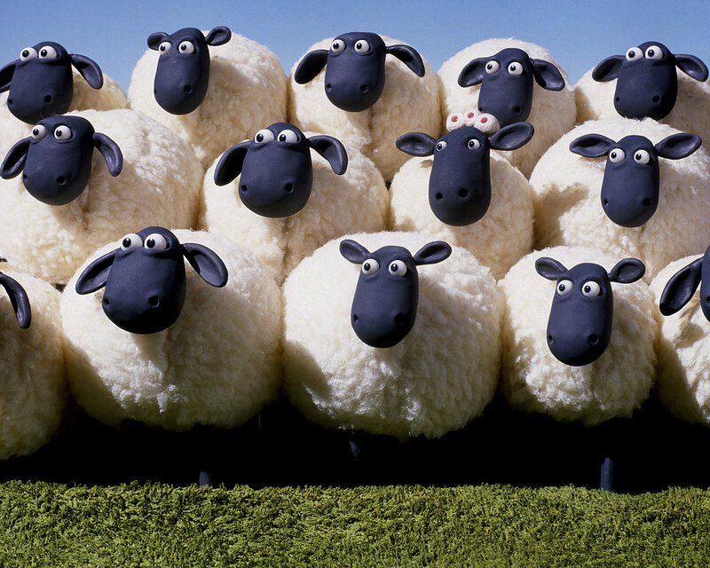 Sheep with Black Faces