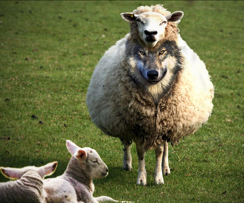 Sheep with Wolf Head — Green