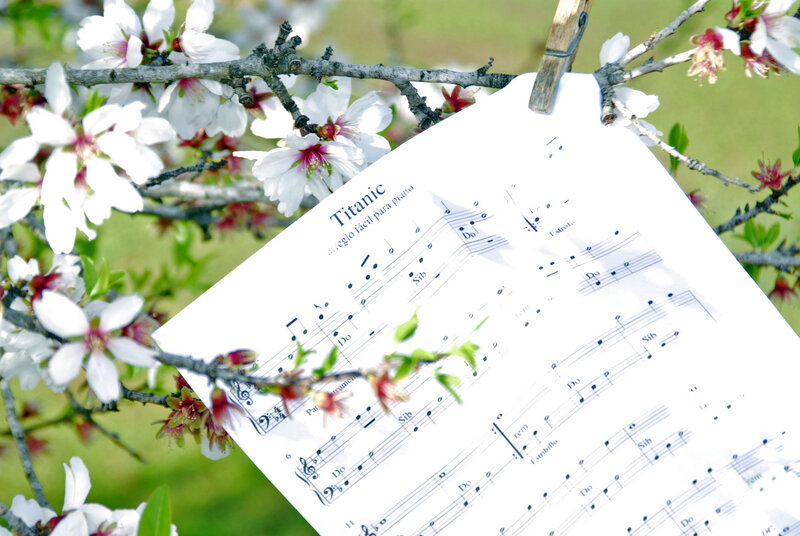 Sheet Music on Branch