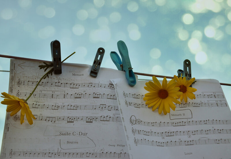 Sheet Music with Daisies