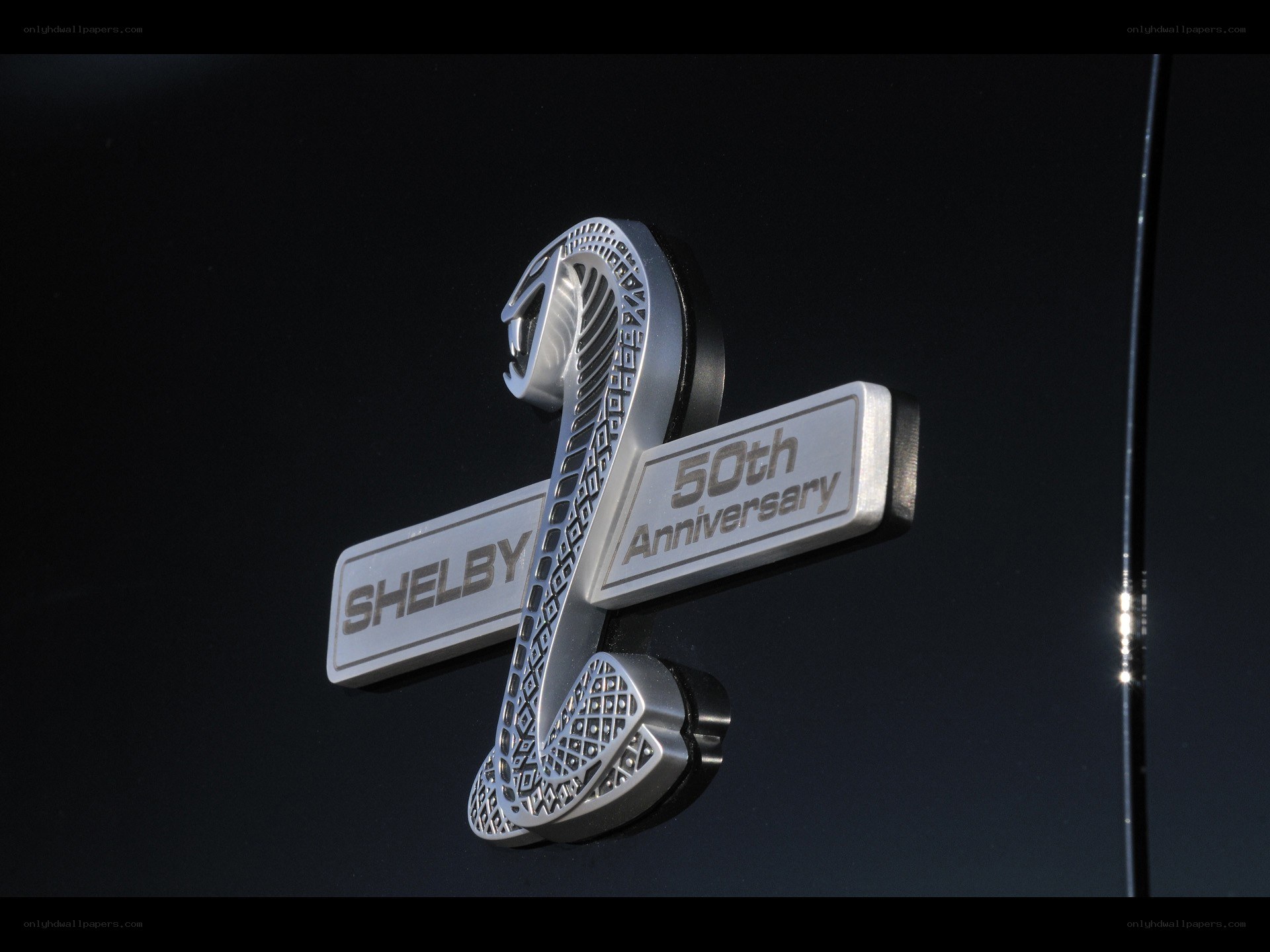 Shelby 50th Anniversary emblem