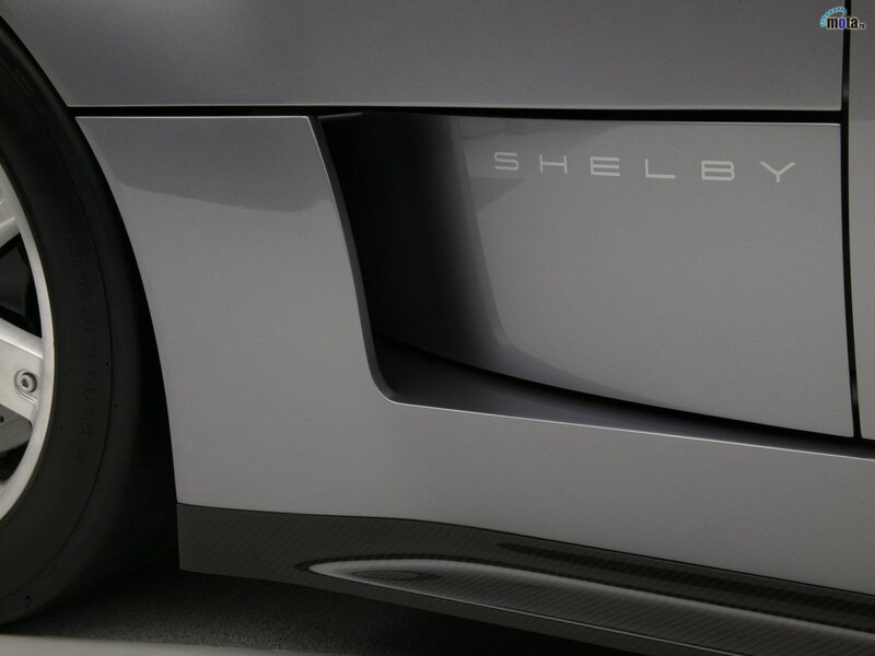 Shelby car side panel
