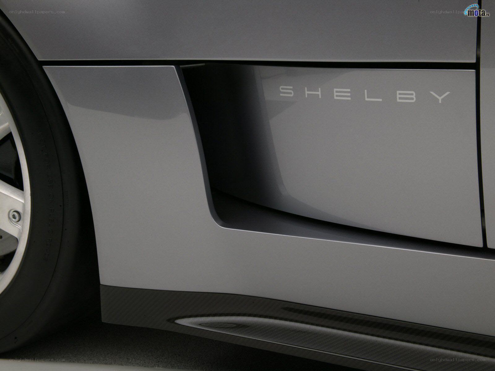 Shelby car side panel