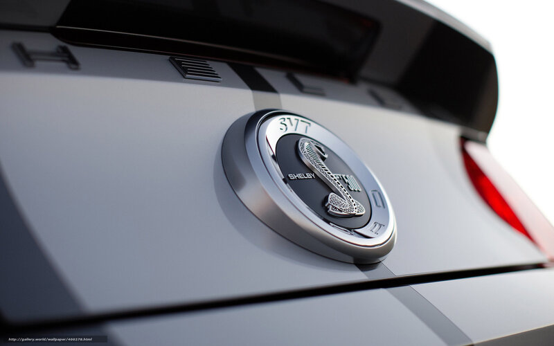 Shelby Cobra Emblem — Silver