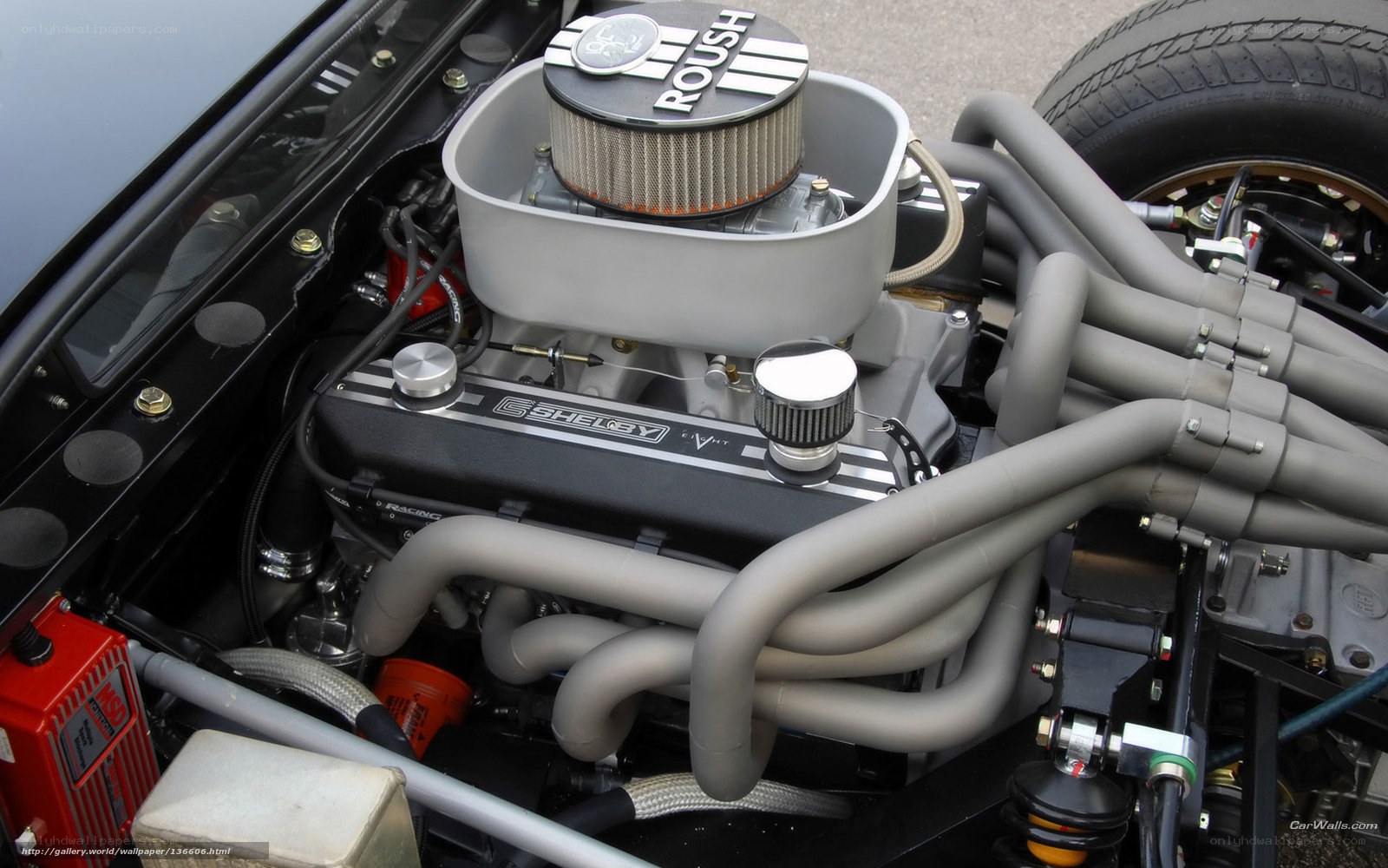 Shelby engine bay
