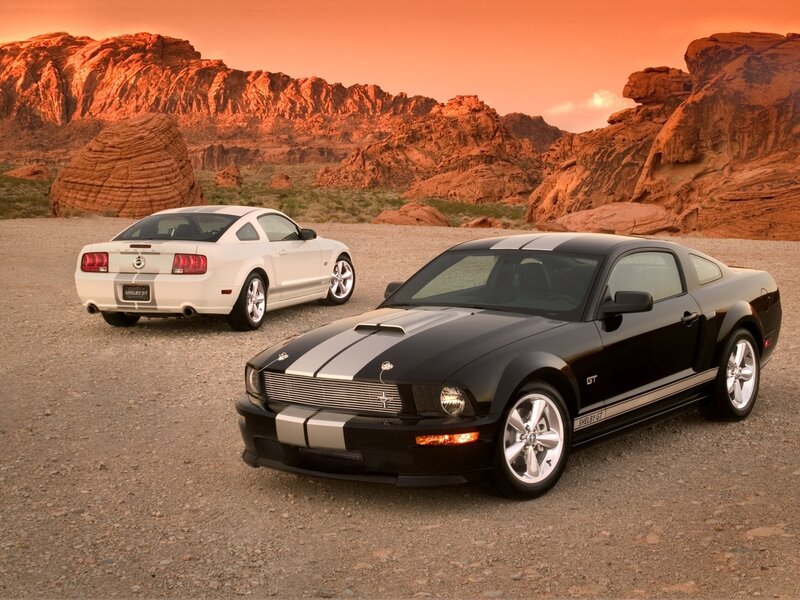 Shelby GT Mustangs in desert