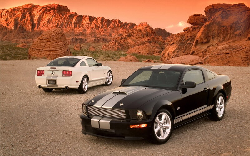 Shelby GT Mustangs in desert