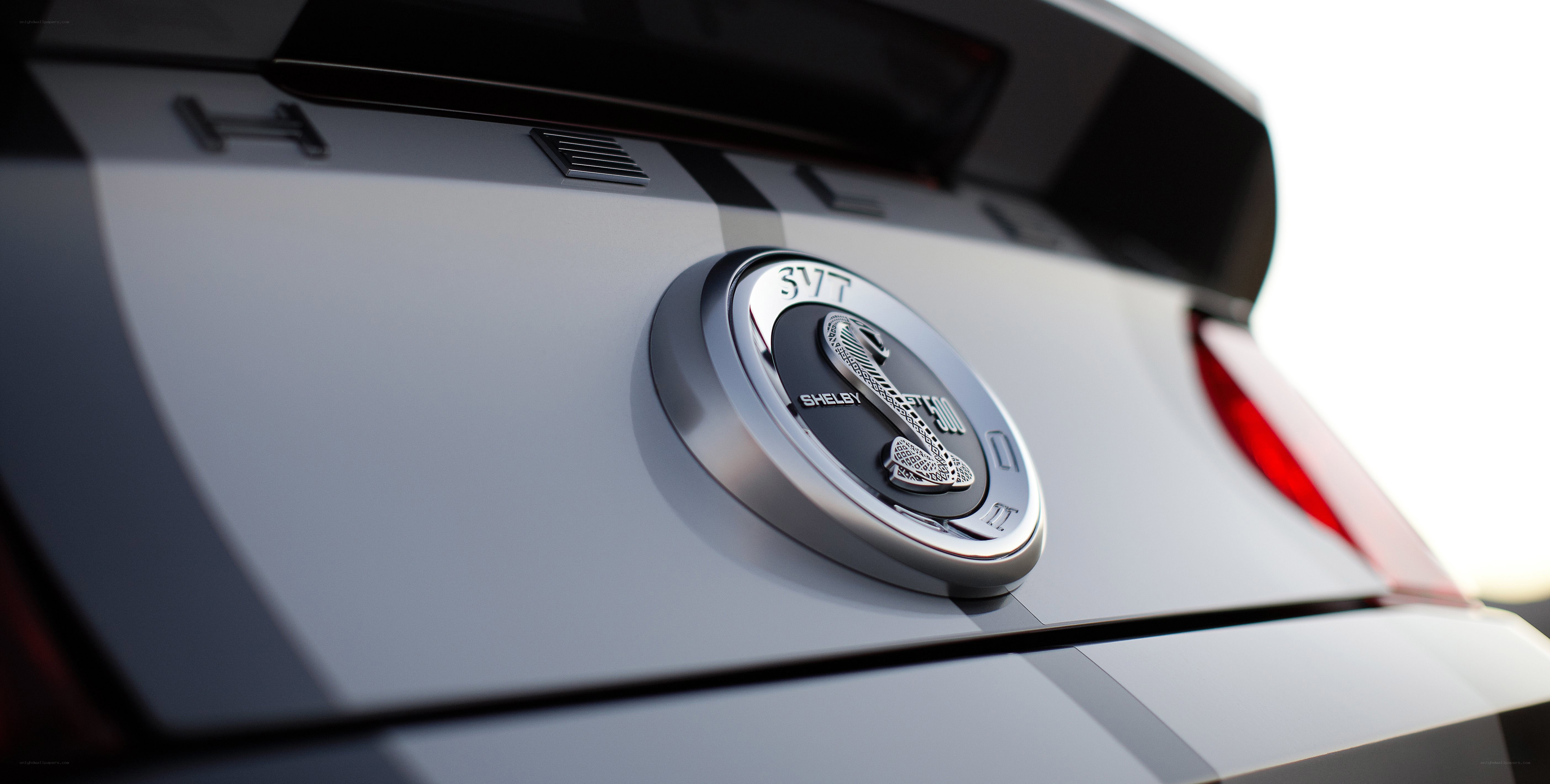 Shelby GT350 emblem close-up