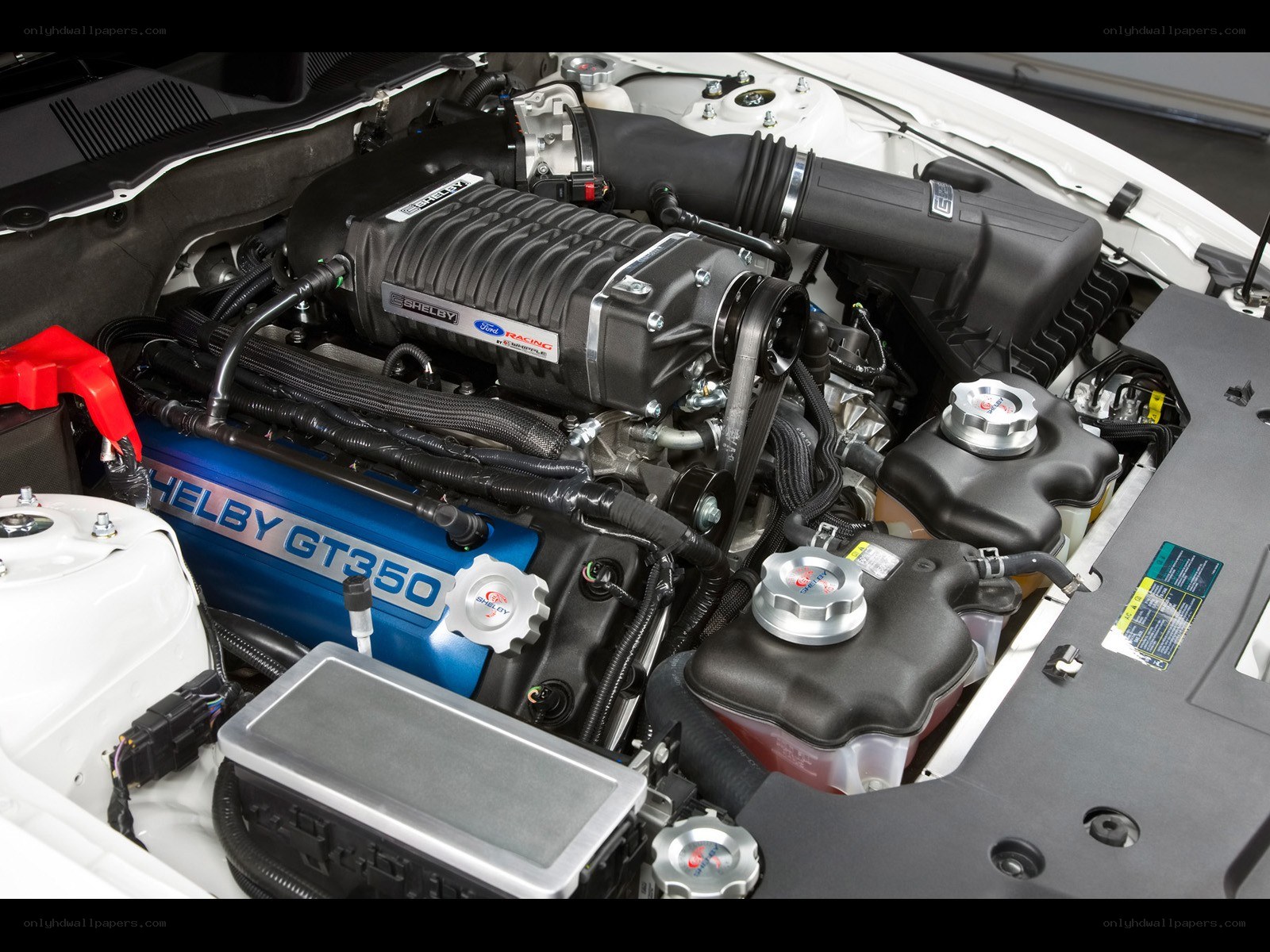 Shelby GT350 engine bay
