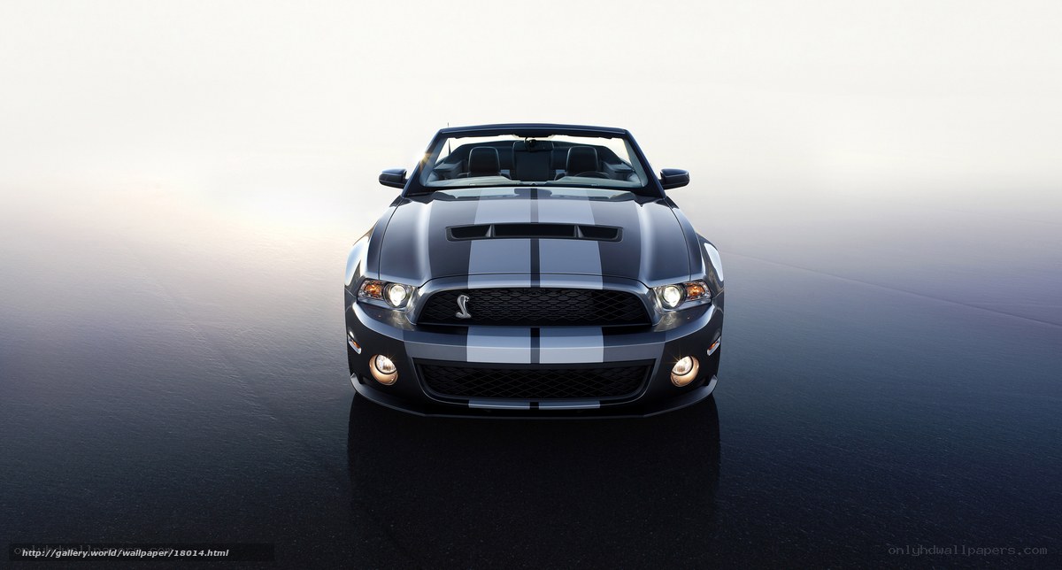 Shelby GT500 Convertible