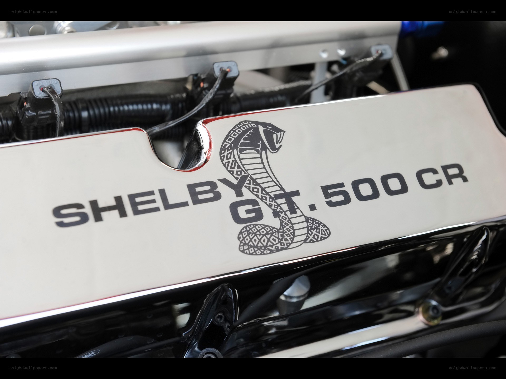 Shelby GT500 CR engine cover