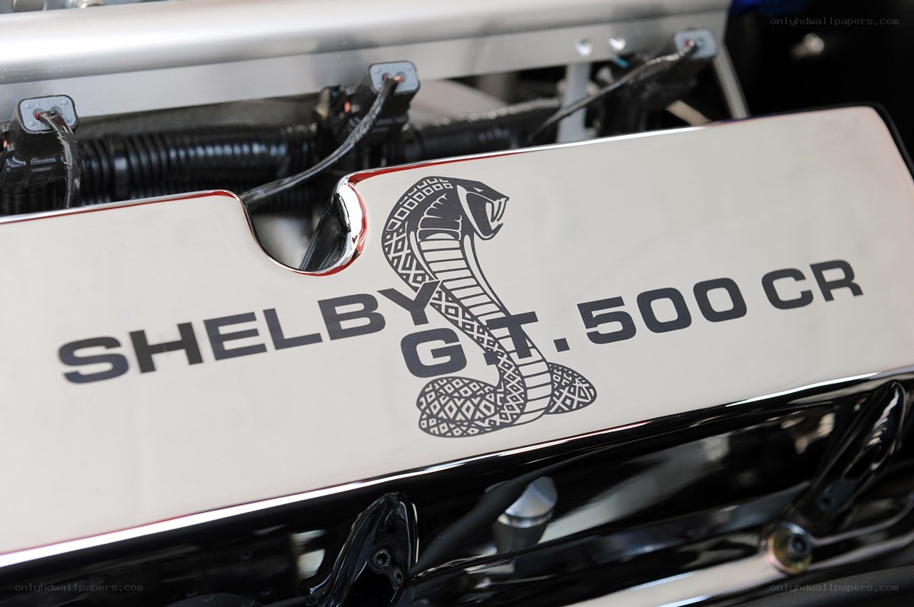 Shelby GT500 CR engine cover