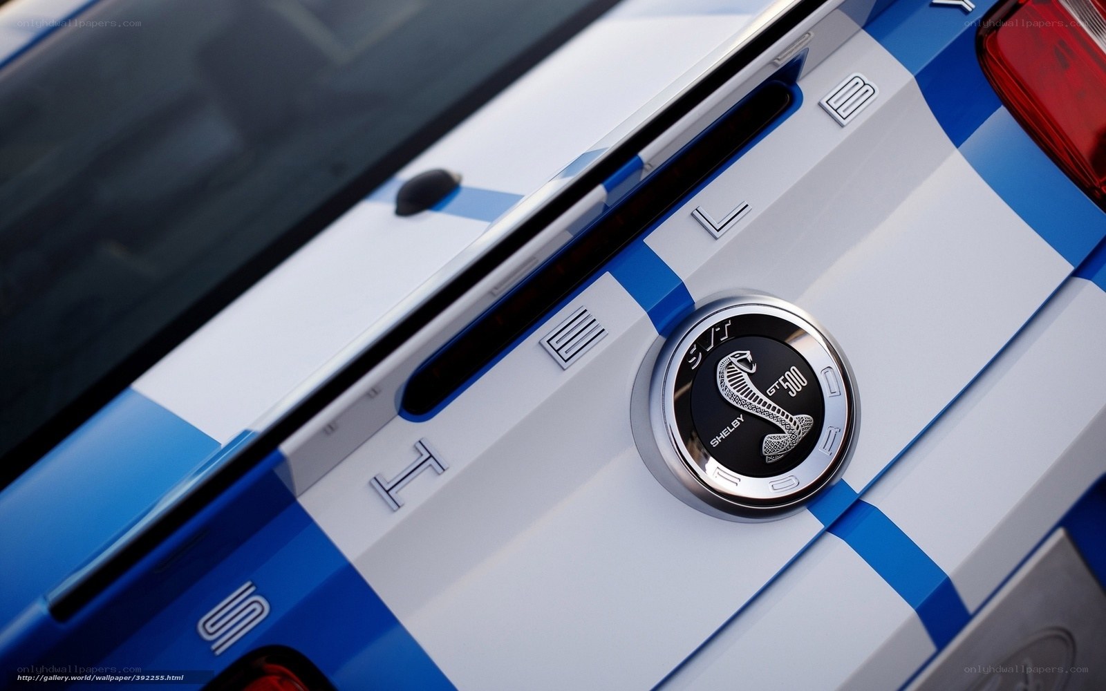 Shelby GT500 emblem close-up