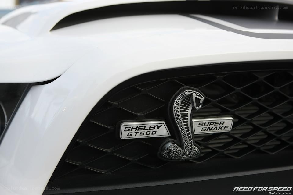 Shelby GT500 front grille