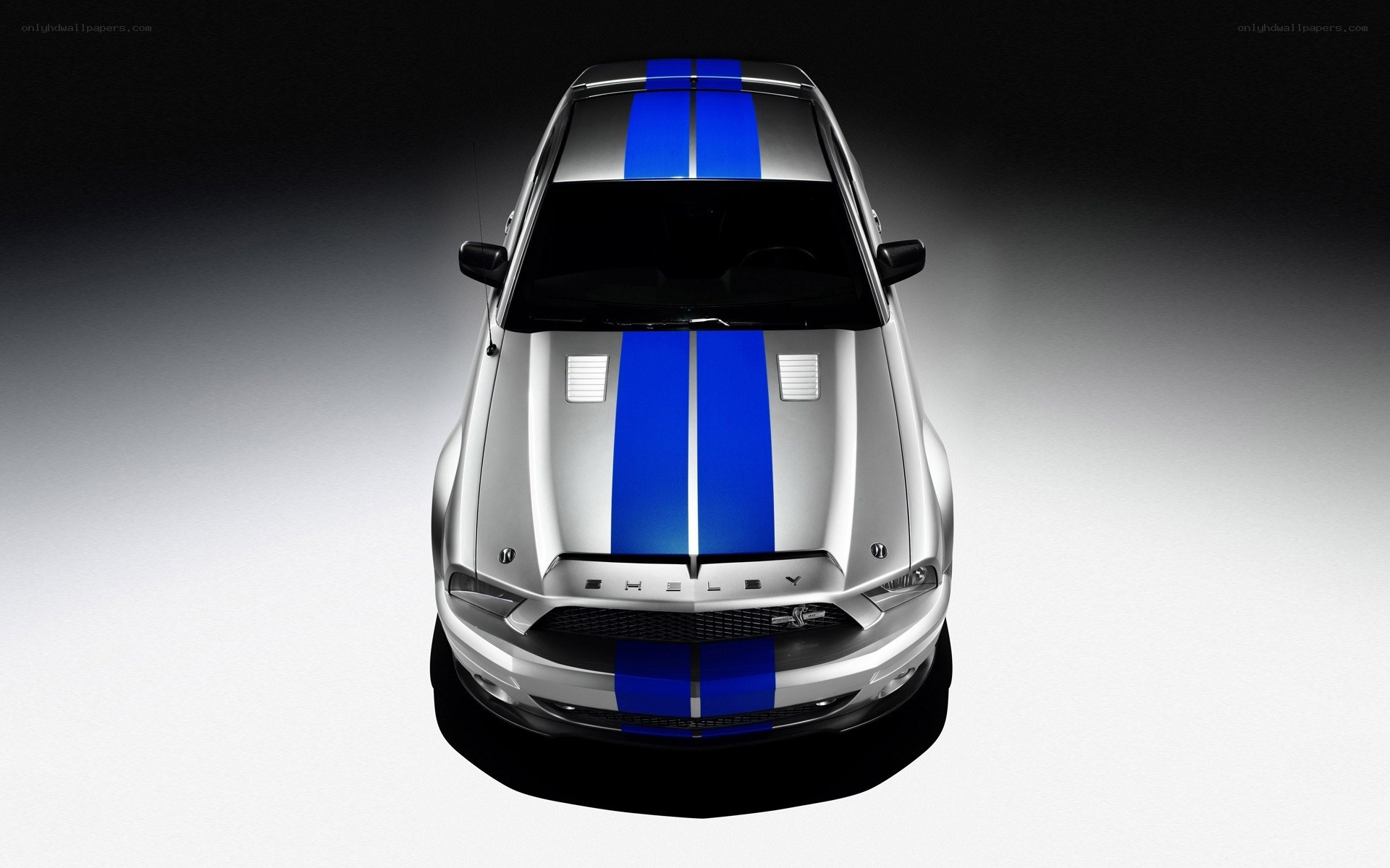 Shelby GT500 front view