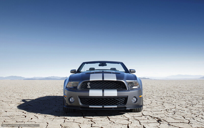 Shelby GT500 in desert