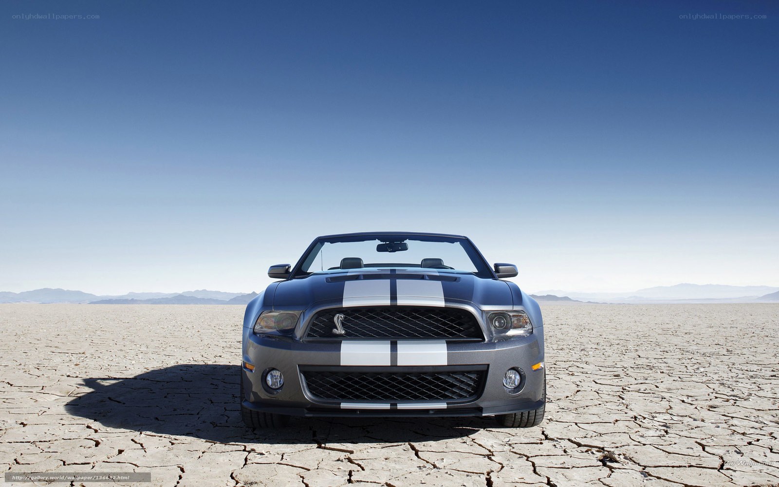 Shelby GT500 in desert