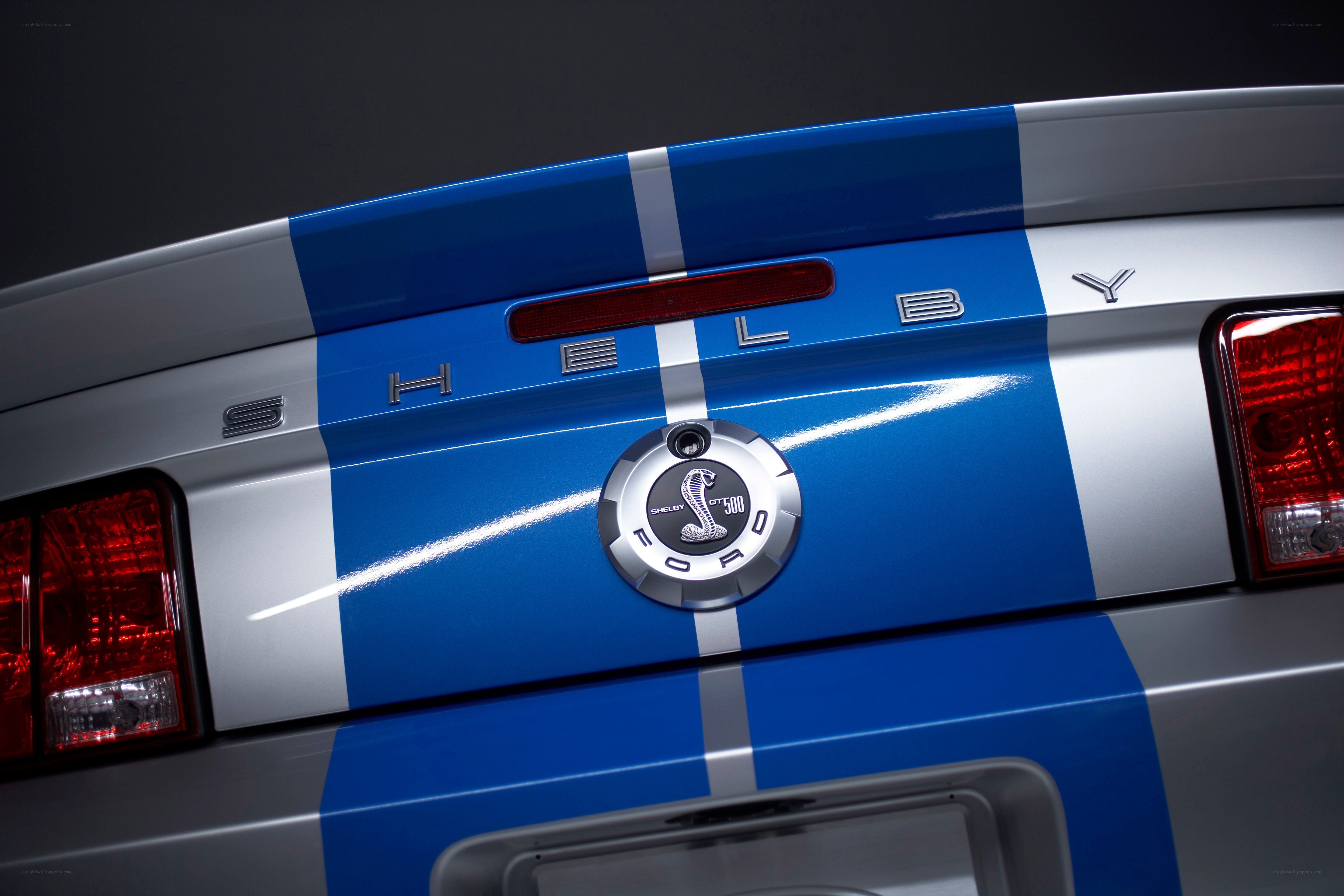 Shelby GT500 rear emblem