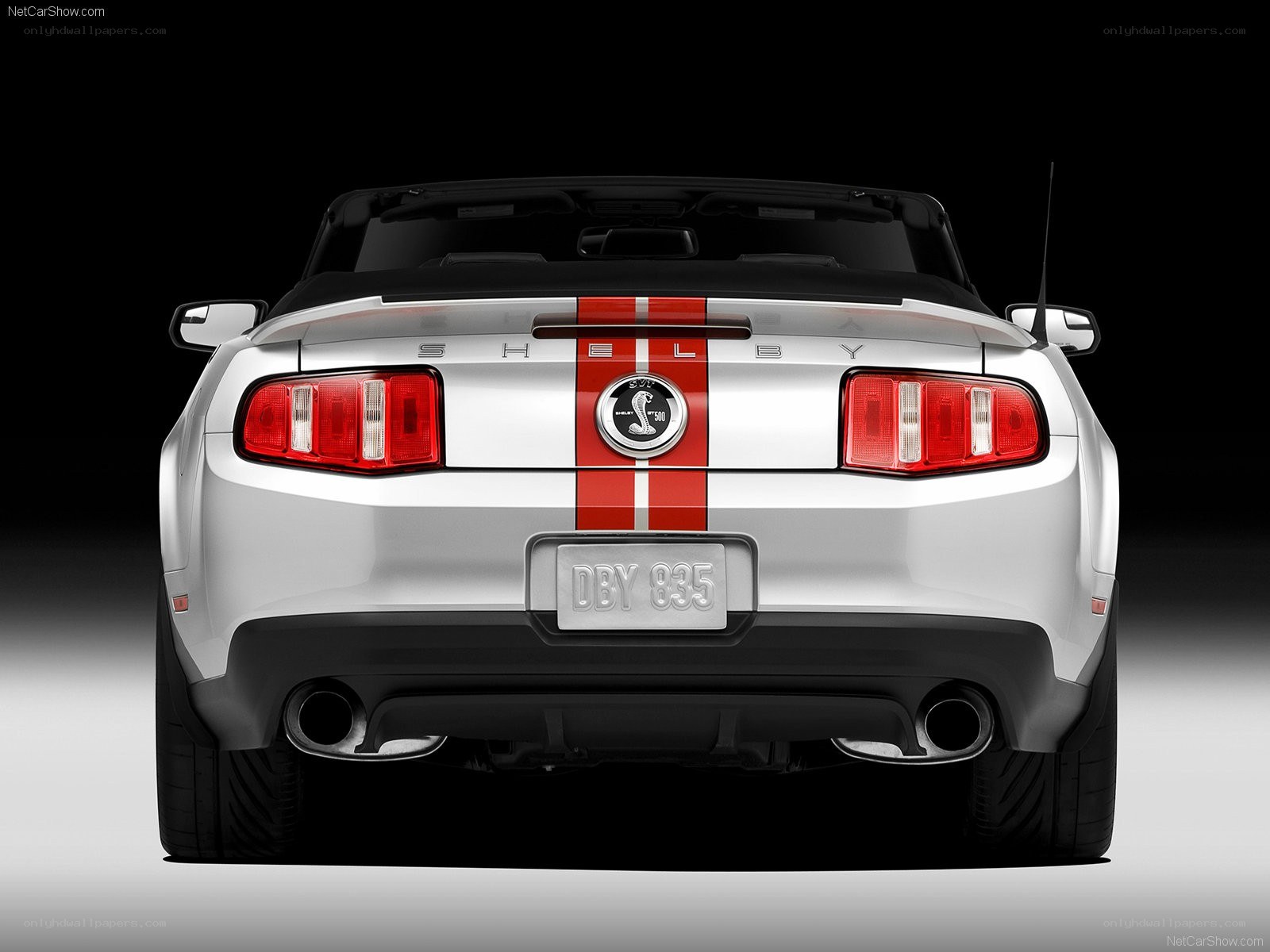 Shelby GT500 rear view