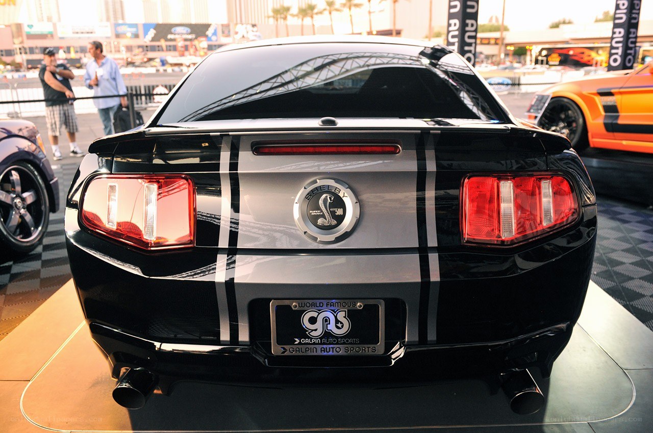 Shelby GT500 rear view