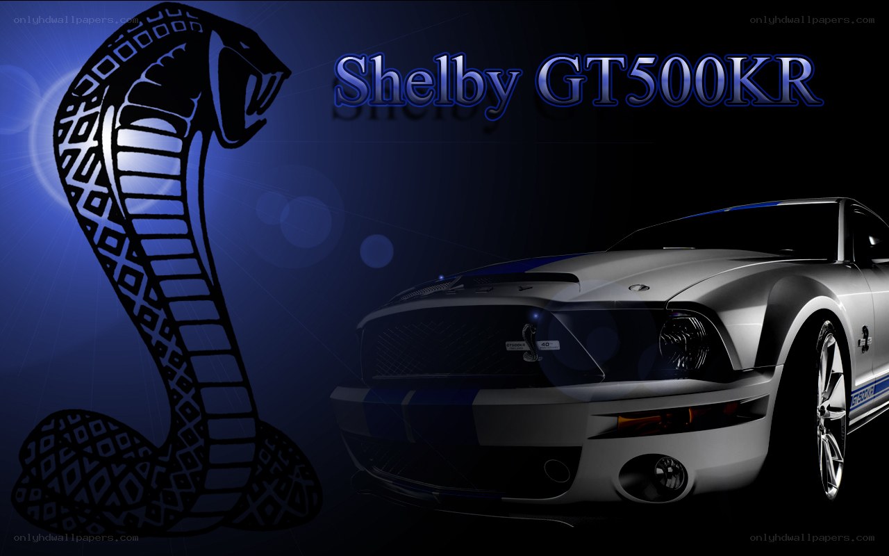 Shelby GT500KR car wallpaper