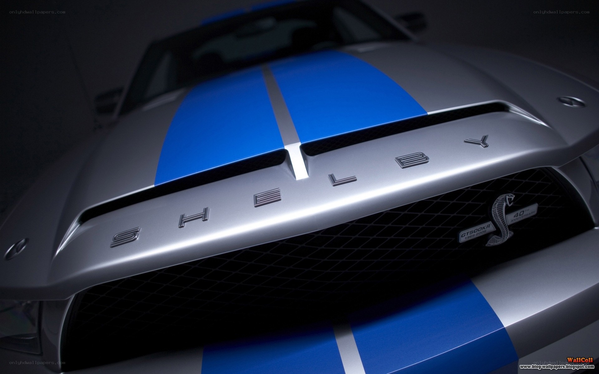 Shelby GT500KR front view