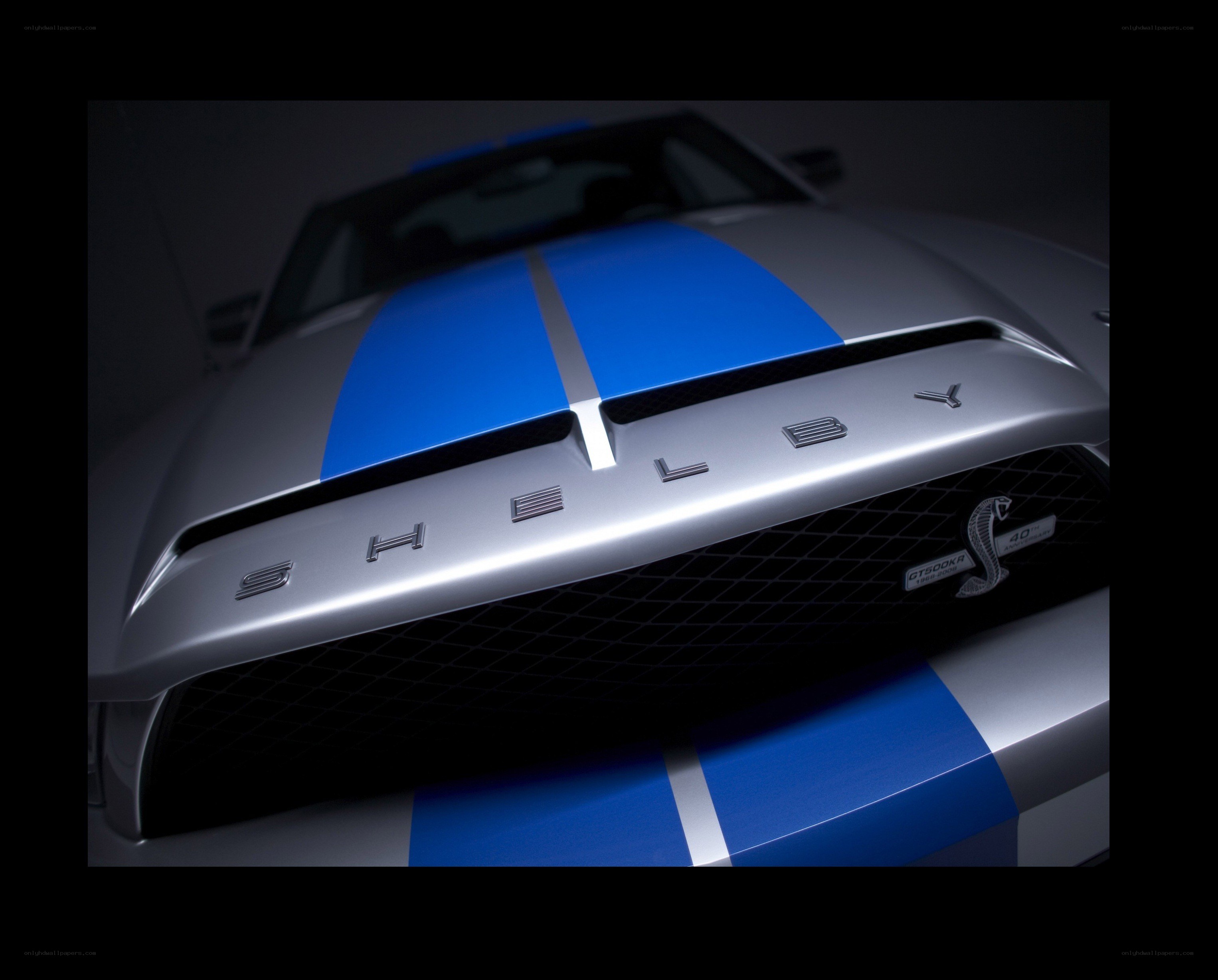 Shelby GT500KR front view