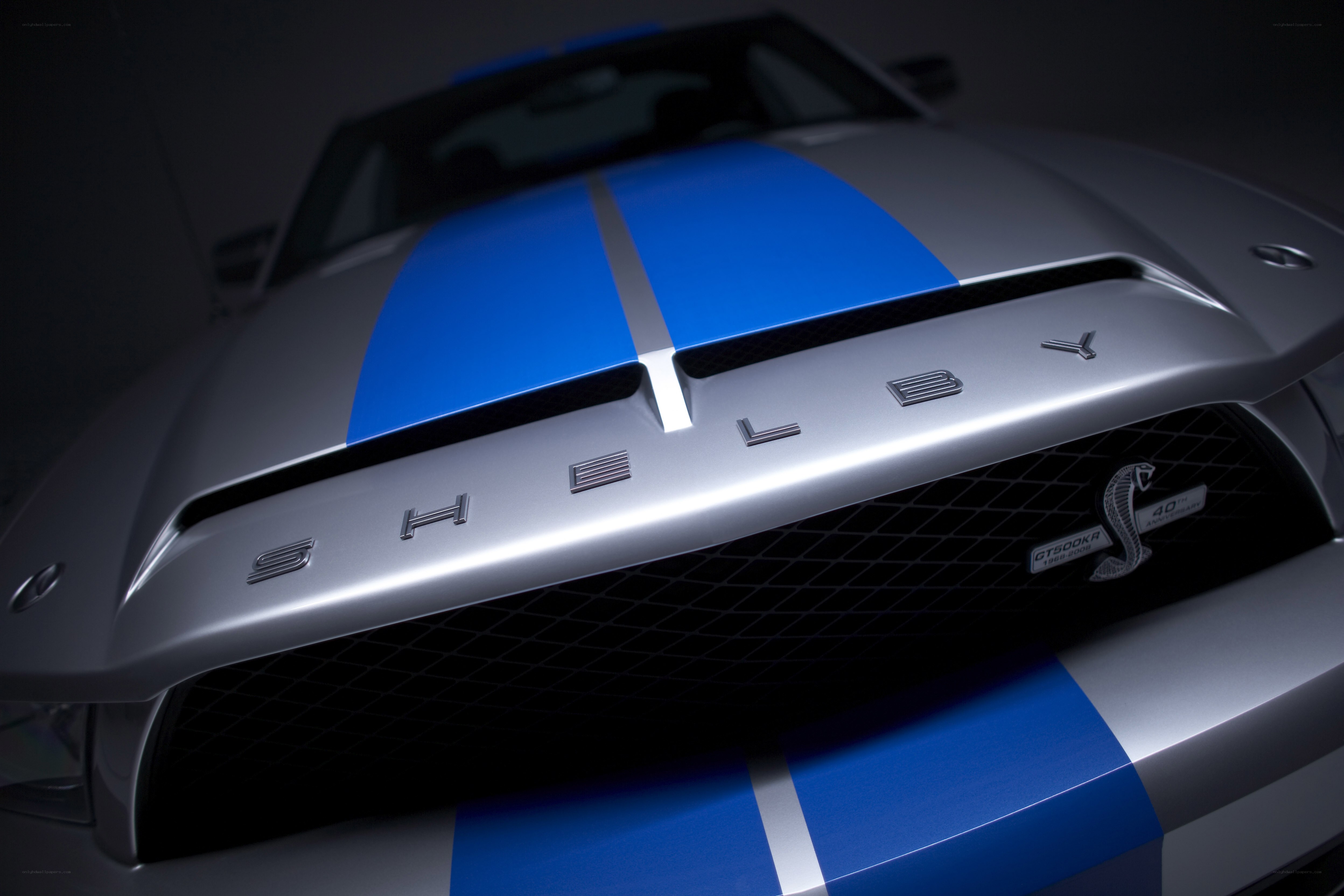 Shelby GT500KR front view
