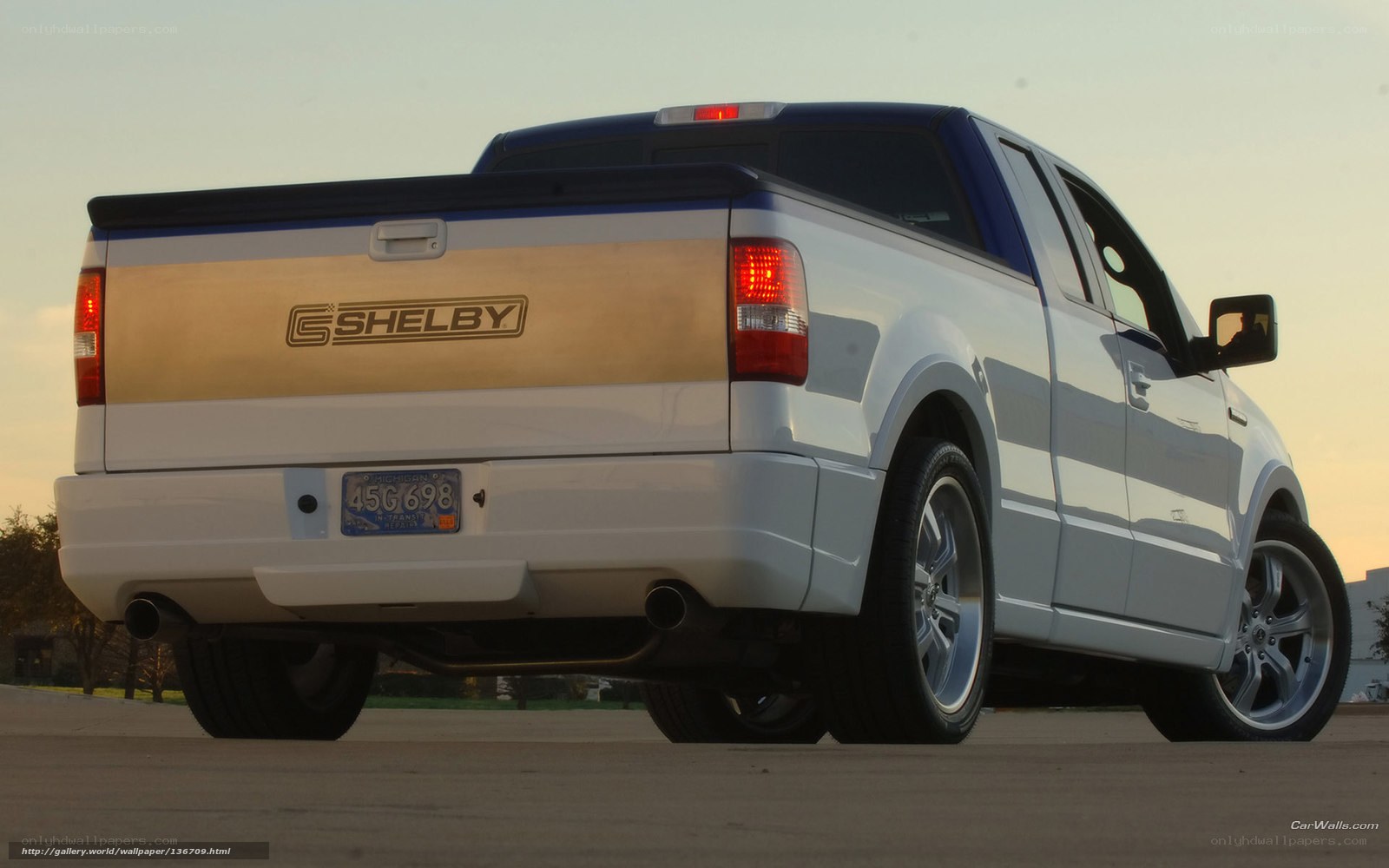 Shelby pickup truck rear view