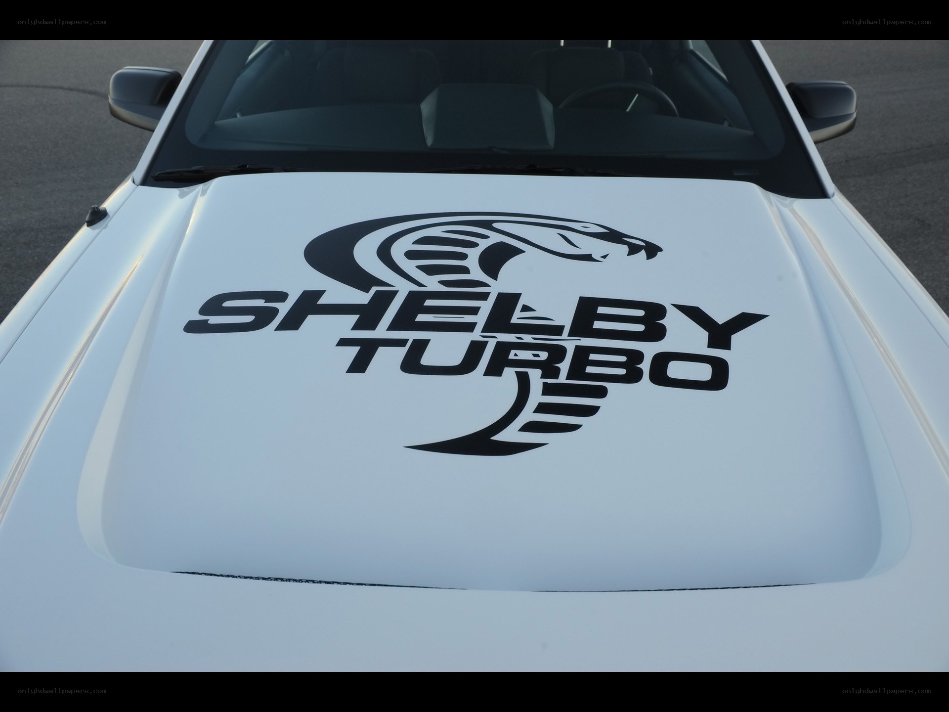 Shelby Turbo car hood