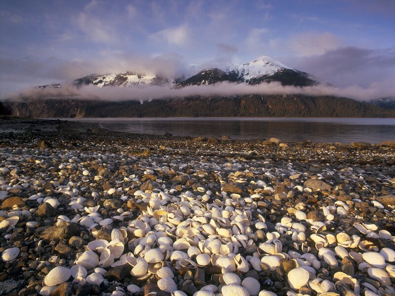 Shell-covered beach with mountains