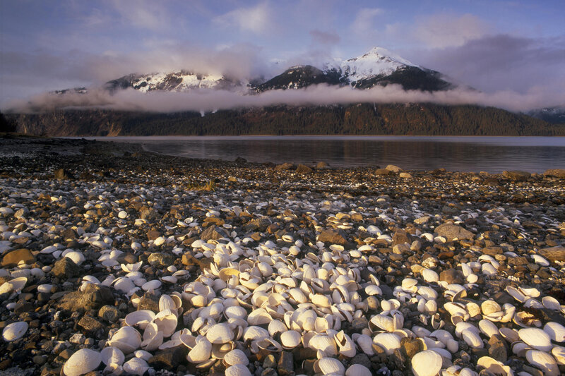 Shell-covered beach with mountains