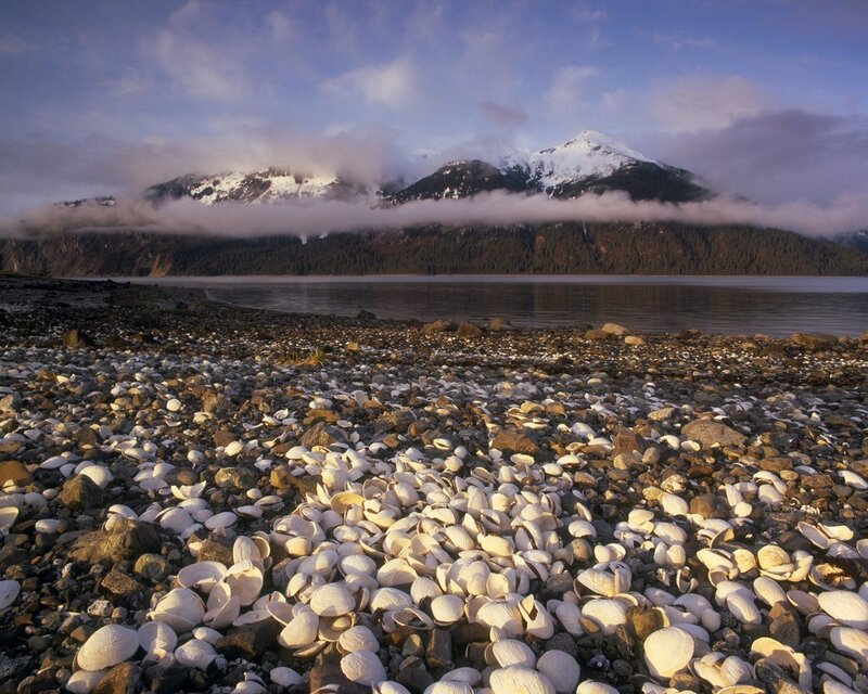 Shell-covered beach with mountains