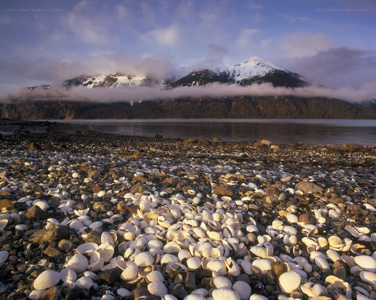 Shell-covered beach with mountains
