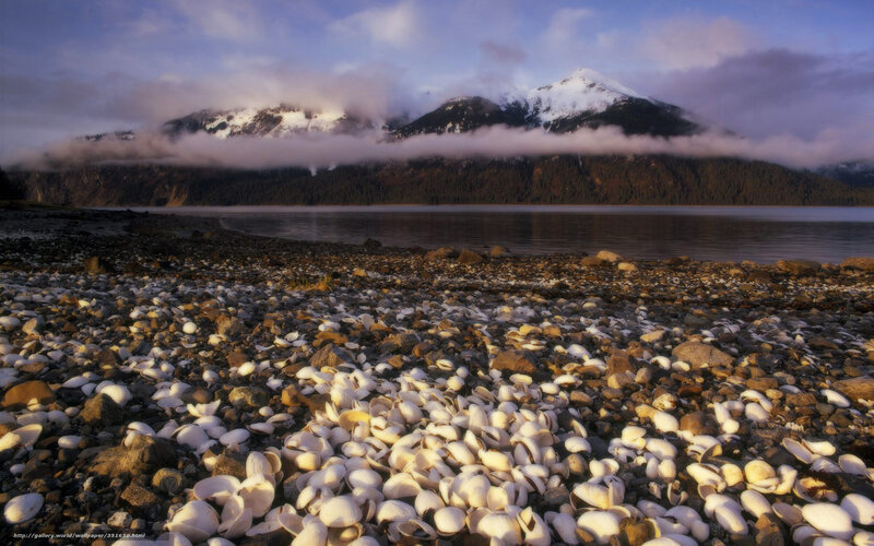 Shell-covered beach with mountains