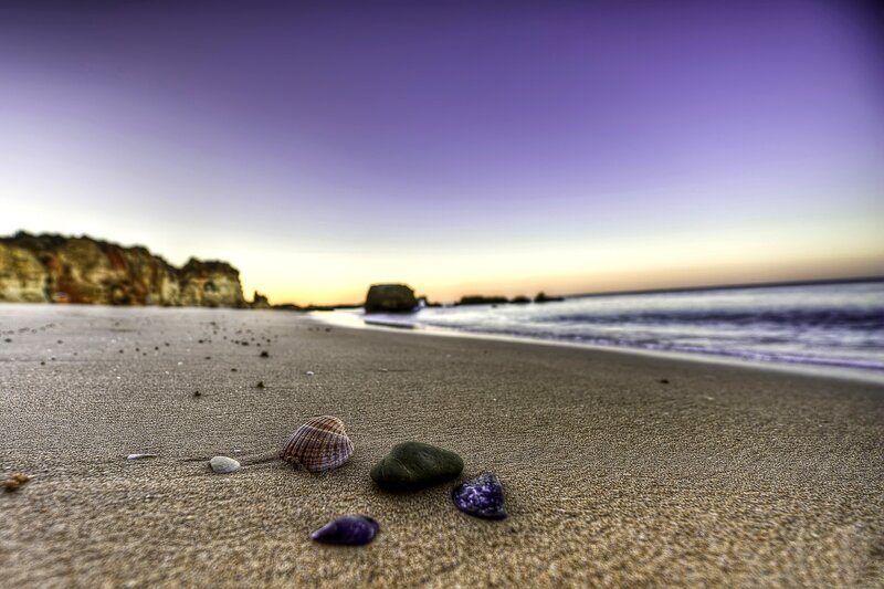 Shells and Stones on Beach