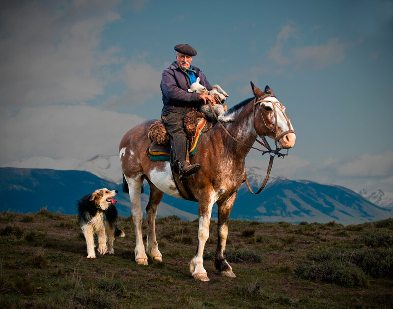Shepherd on Horse