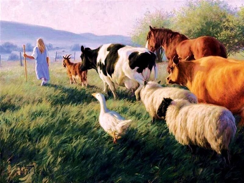 Shepherd with animals in a field