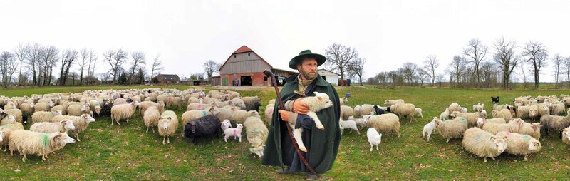 Shepherd with flock in field