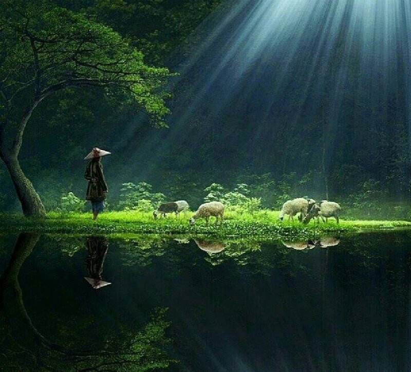 Shepherd with Sheep — Green, Serene, Morning, Digital Art
