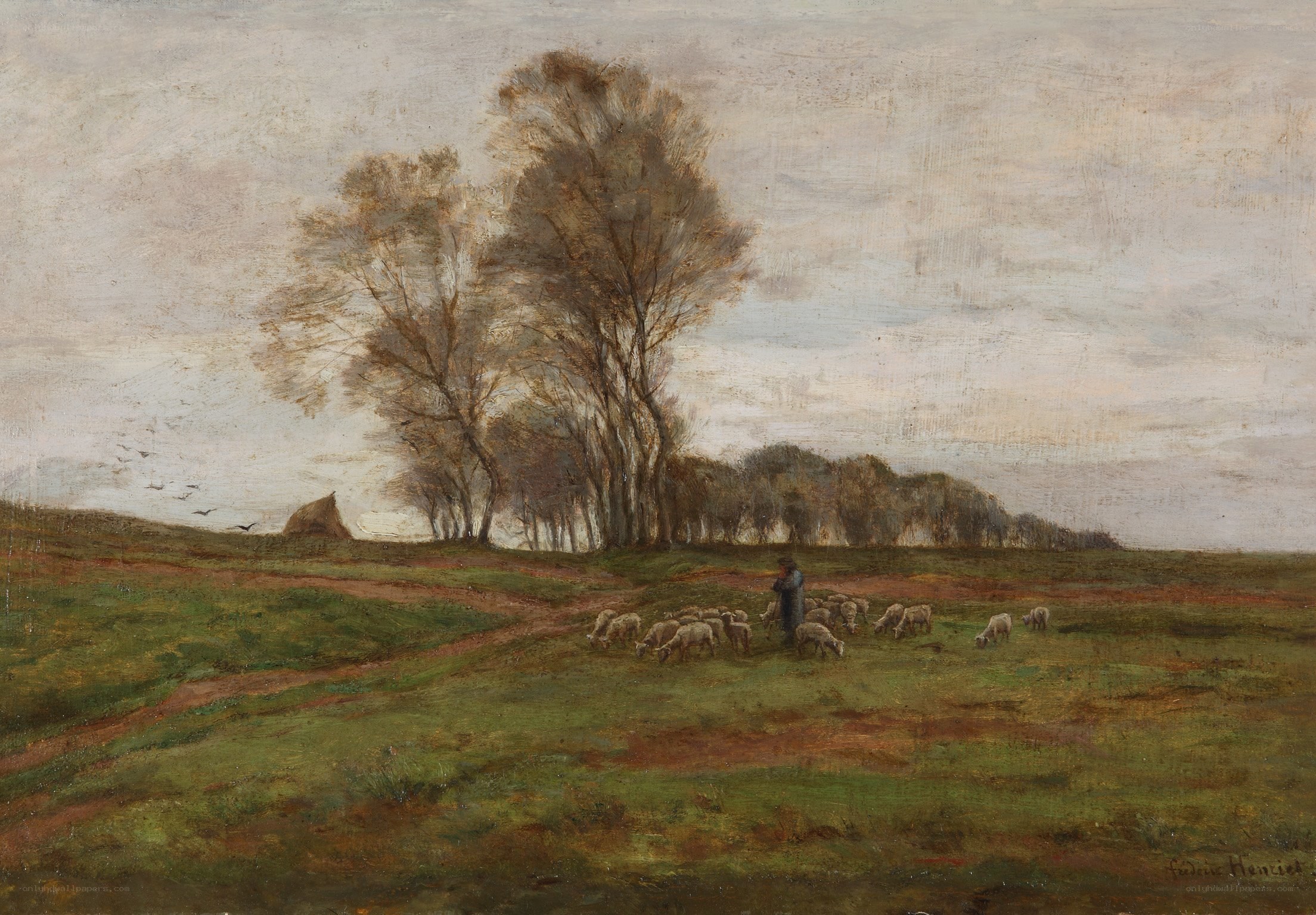 Shepherd with sheep in a field