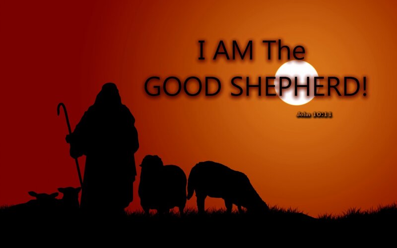 Shepherd with Sheep — Red, Dramatic